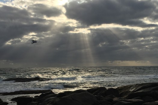 161303B7-D543-493E-AD77-A04294AF5AA4